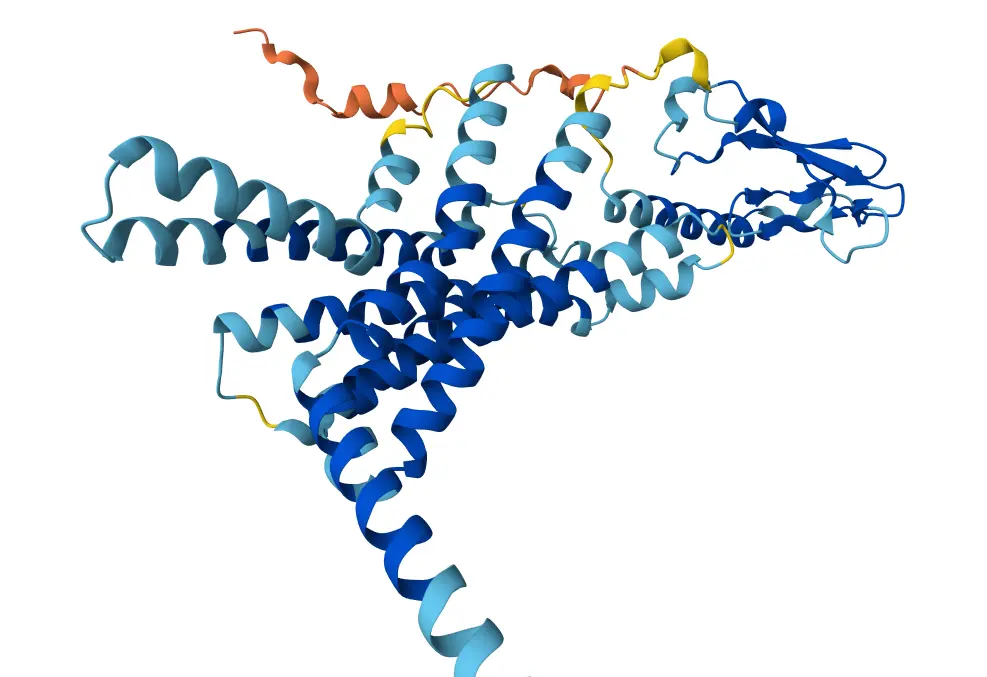 What is GLP-1 drug? From drug discovery to pharmacological mechanism